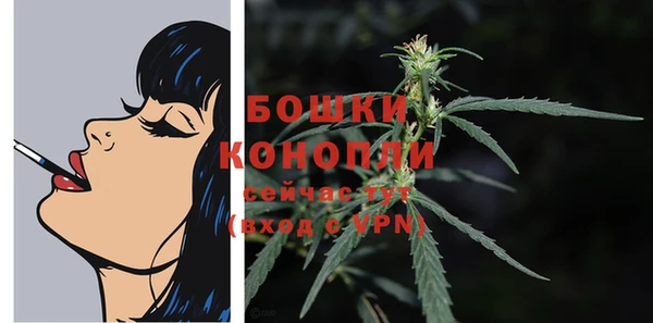 ешки Володарск