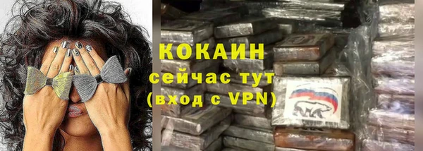 ECSTASY Билибино