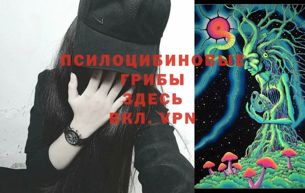 стаф Волосово
